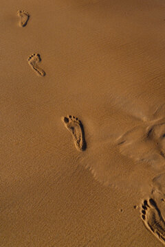 Footprints in Golden Beach Sand