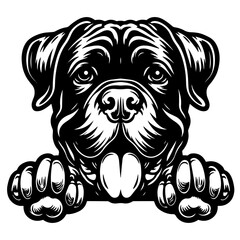 Dog Peeking Clipart Illustration 