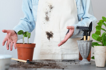 An unrecognizable person showing clothing dirty stains of soil obtained during the transplanting of a flower pot at home. The workspace is neat, featuring tools and pots surrounded by natural light