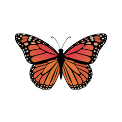 Obraz premium Vibrant Monarch Butterfly Vector Illustration for Art and Design Projects