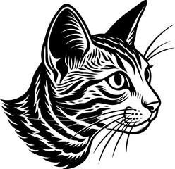 vector illustration of cat