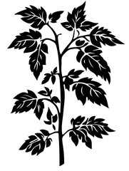 Tomato Plant Silhouette Vector Illustration for Botanical Design and Art Projects