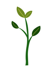 Life cycle of lemon tree. Vector young tree side view isolated on white background for landscape and architecture drawing, elements for environment and garden