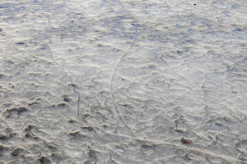 Lake covered with thawed ice. Texture