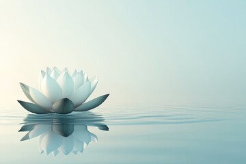 Fototapeta premium Peaceful white lotus flower on water