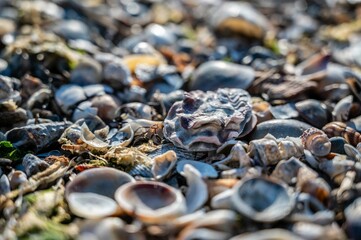 Ancient island of Grado. Between nature, architecture and history.