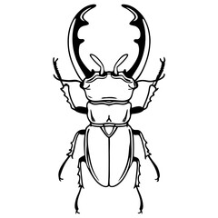 Fototapeta premium Stag Beetle Outline Illustration Perfect for Tattoos and Design Projects