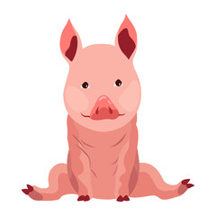 Pig set flat cartoon isolated on white background. Pink pig vector illustration
