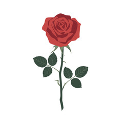 Beautiful Red Rose Vector Illustration for Art and Design Projects