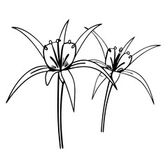 Elegant Abstract Floral Line Art Drawing for Tattoo or Decoration