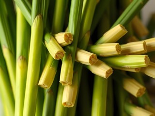 Obraz premium Close-up of freshly cut daffodil stems, spring flowers, floral arrangement, natural background.