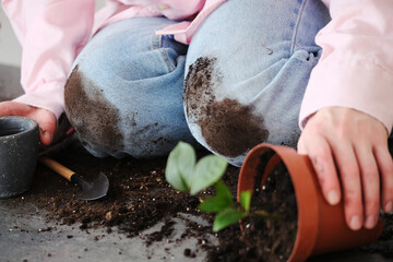 A child kneels on a dirt-covered floor, engaged in planting a small green plant in a brown pot. The...