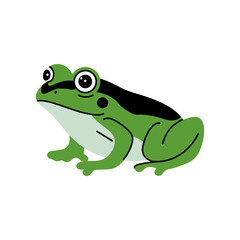Obraz premium Vibrant Green Cartoon Frog Illustration for Kids and Educational Use