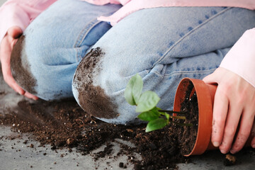 Female kneels on a dirt-covered floor and dirty soil stains in his denim pants. Soil scattered...