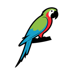 Fototapeta premium Colorful Parrot Vector Illustration for Wildlife and Nature Themes