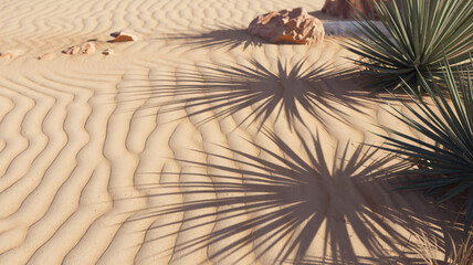 Desert Sand Shadows and Natural Textures Background