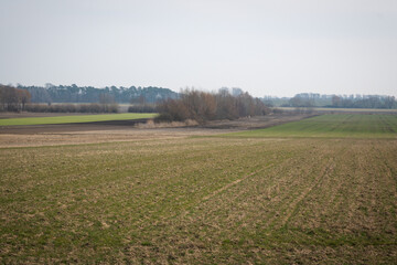 Rural landscape of fields in early spring.
