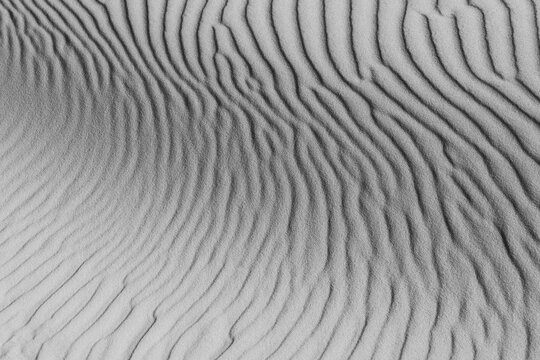 Monochrome Abstract Sand Texture