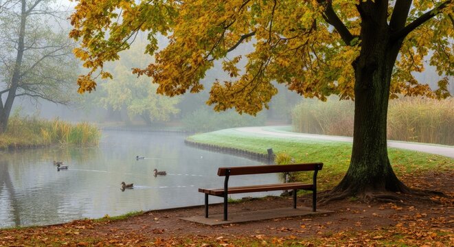 Serene autumn park scene with bench by misty pond, ducks swimming