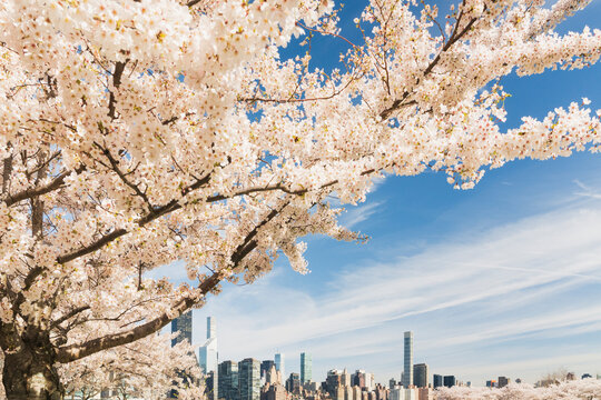 New York City spring skyline