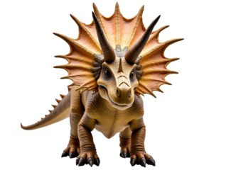 Front View of a Triceratops with Transparent Background