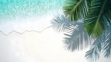 Aerial View of Tropical Beach Scene Featuring Turquoise Ocean Palm Tree and White Sand with Shadow Under Sunny Sky