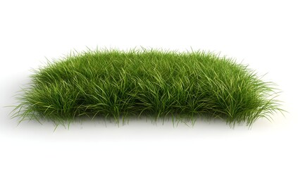 Lush Grass Patch Isolated on White (1)
