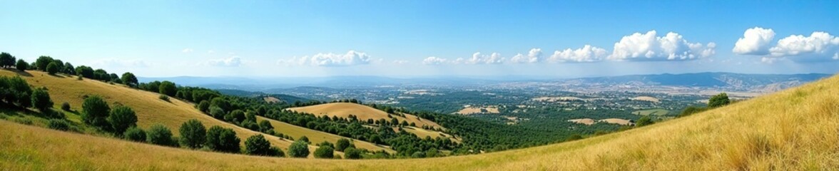 Obraz premium Rolling hills and olive groves in Golan Heights with blue sky and few clouds, cloud, nature, trees