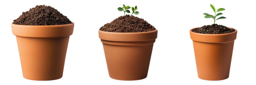 Terracotta pots with soil and seedlings isolated on transparency background