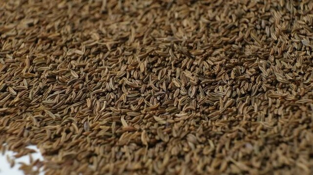 Whole cumin seeds Carum carvi L scatter on white background
