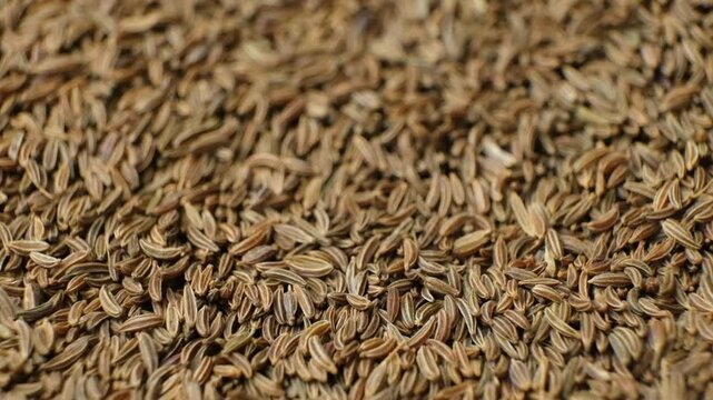 Whole cumin seeds Carum carvi L scatter on white background