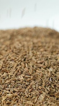 Dried Whole Cumin Traditional and Natural Spice Pour, Vertical Slow Motion