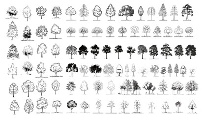 Minimal tree line drawing, vector cad, tropical oak, side view, landscape design, stroke fill in white, architectural graphics, nature illustration, tree elements, green environment