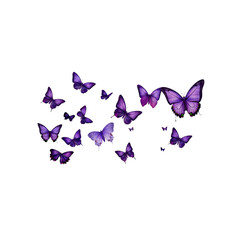 Butterflies of various sizes and shades of purple are soaring through the air, displaying their delicate wings on a clear backdrop.