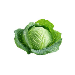 Obraz premium A bright green cabbage leaf is set against a transparent background, showing off its complex texture and fresh appearance.