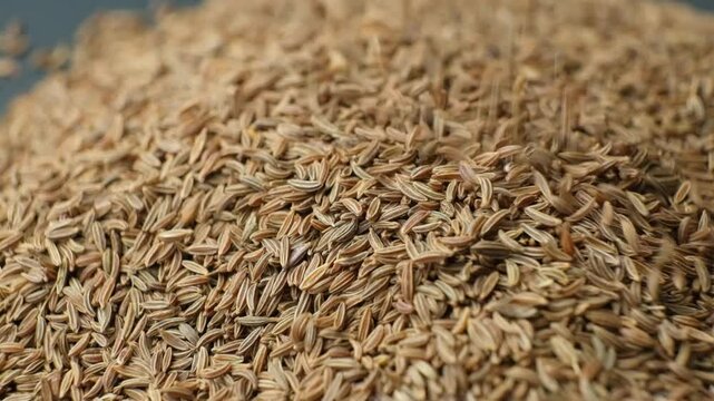 Dried Cumin Seeds Close-Up Culinary Ingredient Pour Slow Motion
