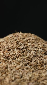 Dried Cumin Seeds Close-Up Culinary Ingredient Rotation Vertical