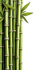 Green bamboo stalks and leaves, cut out 