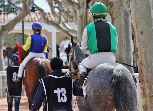 Caballos purasangre, jinetes con sus chaquetillas de colores y mozo por el paddock del hip&oacute;dromo antes de galopar en una carrera de Turf