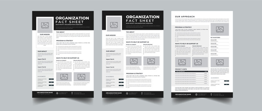Nonprofit Organization Fact Sheet layout design template with 3 style design concept	
