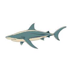 Shark