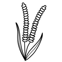 Cute spring flower outline