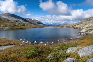 Fototapeta premium Trolltunga Norwegen - Vacation Hike in Norway. Fiord Fish Rock Panorama