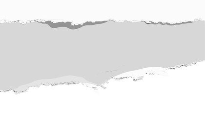 Torn white paper strips, vector, ripped paper edges, isolated on white, paper design, paper texture, background with torn edges, clean ripped paper, white torn strips