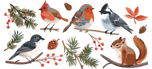 Birds, squirrel, winter animals vector set, wildlife, forest animals, snowy landscape, cute animal designs, winter scene illustrations, nature, snow creatures, animal vector graphics