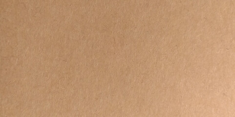 Whitish cardboard paper texture background. A varnish cardboard texture background