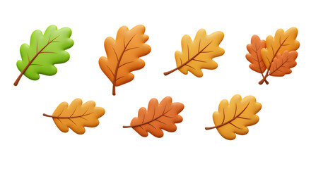 Obraz premium Oak Leaves Display in Autumn Colors Against Transparent Background Still Life