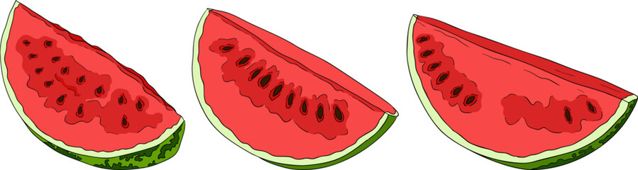 Watermelon colored illustration set. Watermelon fruit vector set. Illustration of watermelon freshness nature