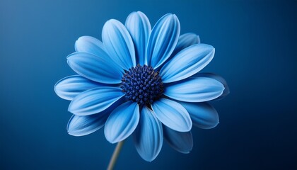 Obraz premium Close-up of a single blue flower with soft hues, showcasing minimalist design. The delicate details of the petals highlight simplicity and elegance, creating a serene and modern aesthetic