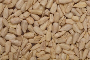 A close-up, top-down shot of a dense pile of hulled sunflower seeds, showing their natural texture and light color